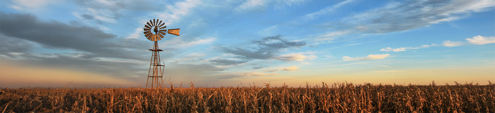 Agricultural and business loans